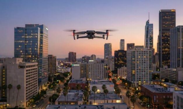 The Techne–Phronesis Negotiation Framework™ (TPNF): The Low-Altitude Economy and Future Value Creation By Nikos Chatzis / Goal Consulting